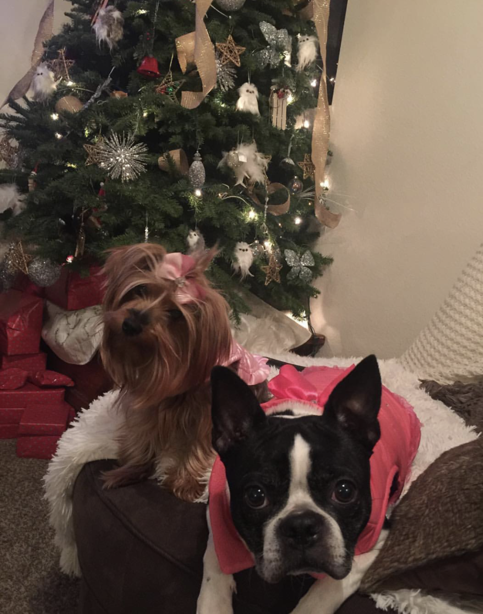 Maya and Bella